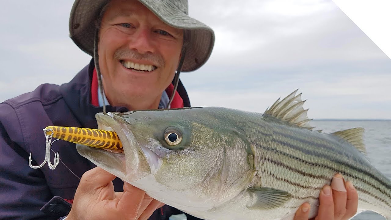 New Fishing Lure! Packed Top-Water Striper Action on the new Mojo