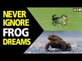 What does Frog dream meaning | Dreaming of frog mean | Frog dream interpretation