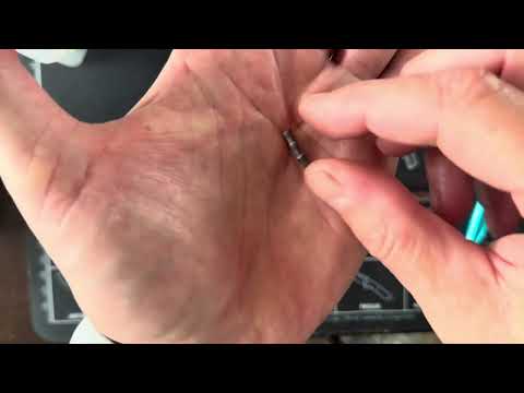 Gear Corner: The Whacky Rig