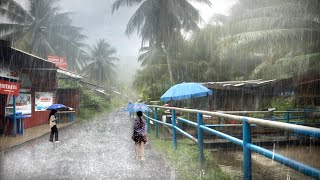 Super Heavy Rain in a Beautiful Village in Middle Java, Already Time for a Deep Sleep
