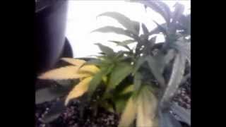 Race 2420 ep.10 2/5/2013