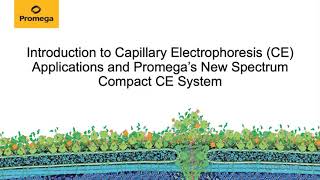 Promega Webinar