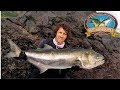 Big Bluefish The Search 👉Big Bluefish on lures!