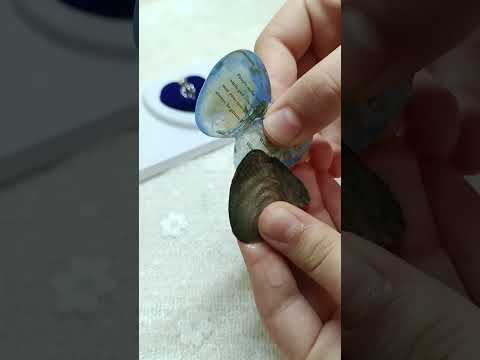 عقد اللؤلؤ مع السنسال من قلب المحار قلادة اللؤلؤ هديه مميزه