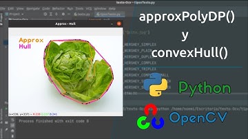 Aproximación de contornos con openCV y Python | ConvexHull y approxPolyDP