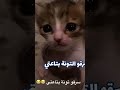 سرقو تونة بتاعتي
