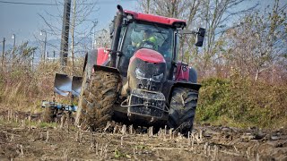 Mokrá orba Case IH Optum 300 cvx + Lemken EurOpal 8 #caseih #lemken #poľnohospodárstvo