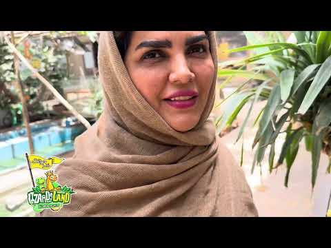 به دنیا امدن چینچیلا در خانه امن حیوانات لیزاردلند تولد