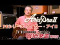 【Aria Pro II】PE 9440GE TE (Tiger Eye)【宮地楽器】 ＊こちらの商品は販売済です