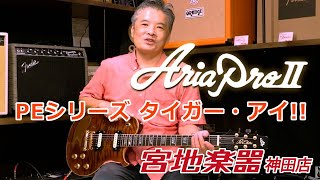 【Aria Pro II】PE 9440GE TE (Tiger Eye)【宮地楽器】 ＊こちらの商品は販売済です