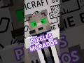 Cuando Bobi ve PIXELES MORADOS 😤