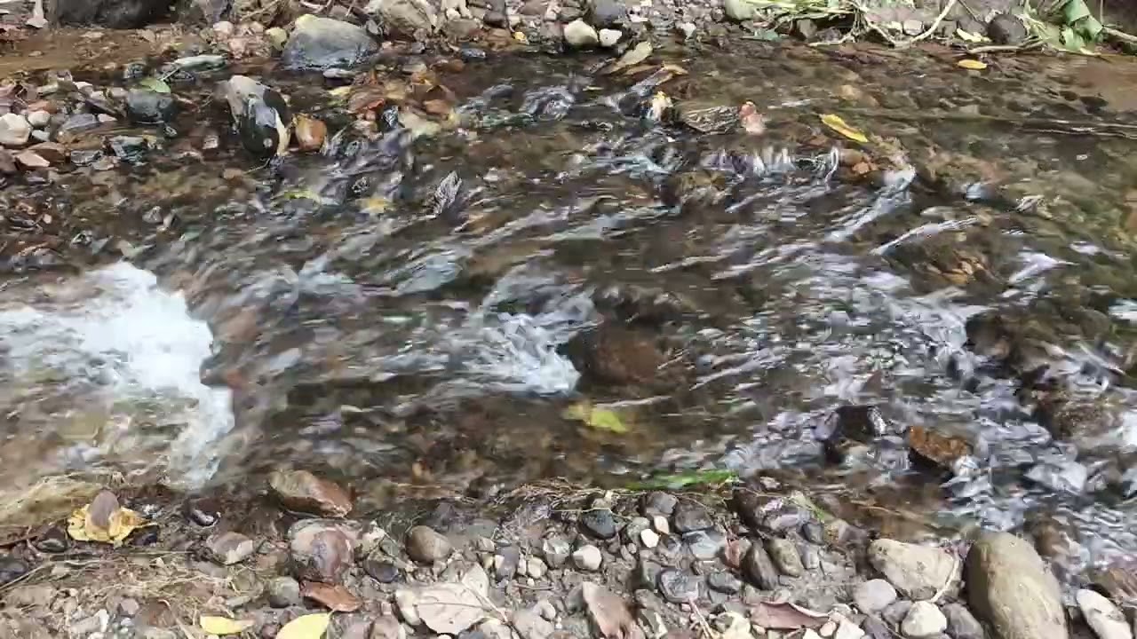 Enjoy the Serenity of Nature: Clear Water Flow & Natural Stones