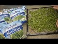 How to Dehydrate Frozen Green Beans