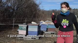 Grow Food Kids: A Virtual Field trip to Crimson & Clover Farm