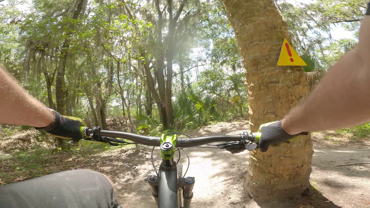 Snake Jump Session YouTube