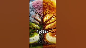 ماذا لو كانت الفصول الأربعة حوار ابدي بين البدايات والنهايات تساؤلات اقنباسات لايك اشتراك 