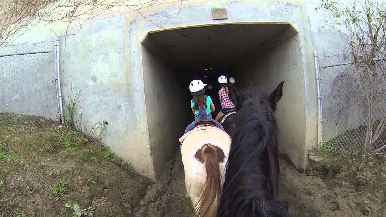 Matilda Rides a Horse! /4 Los Angeles Equestrian Center, Burbank CA