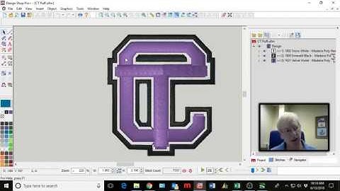 DSV10 3D Foam Digitizing