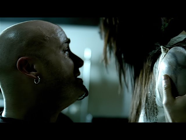 DISTURBED - INSIDE THE FIRE