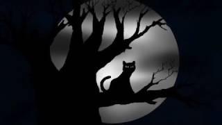 Black Scary Night Silhouettes @nikkimouse3093 @hammelhalloween394