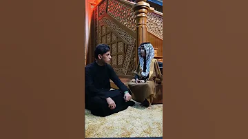 نسب الإمام العباس عليه السلام يذكره رادؤود محمد ثامر بكعدة وياملا مسلم الوائلي بحسينية داؤود العاشور 