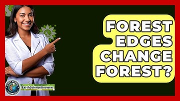 Forest Edges Change Forest? - Earth Science Answers