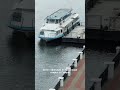 Теплоход снова курсирует в Гомеле #гомель