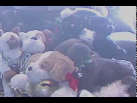Salvation Army 2014 Kettle Drive Mascots