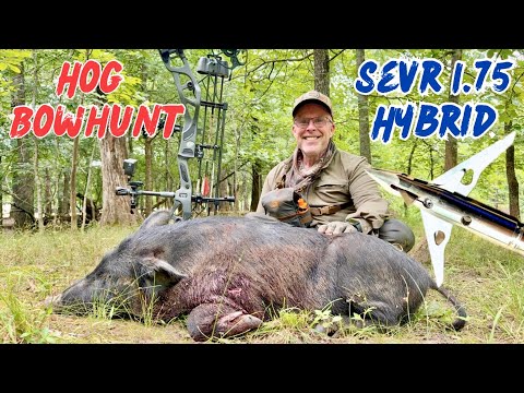 SEVR 1.75 HYBRID vs HOG: "SCREAMING SUCCESS" Real World Broadhead Test #Bowhunt #elitearchery