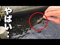 「大物の巣窟」に捕まえたフナムシを落とすと‥