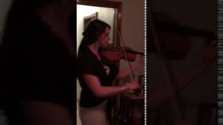 IMG 9253