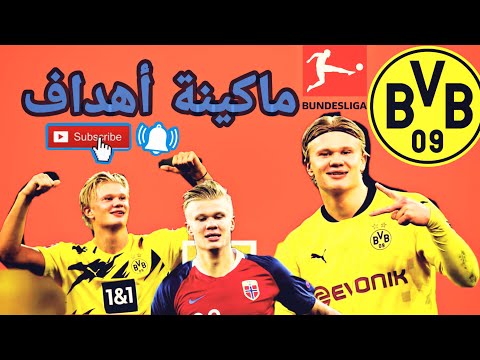 إيرلينج هالاند آلة تهديفية لا يطالها الصدأ 