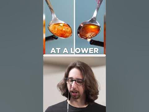 Real vs Artificial Foods Biology Diagrams