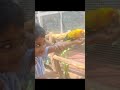 parrot#viral #viral #viralvideo #viralreels #vlog #vlogger #vlogging #fun #comedy #comedyvideo