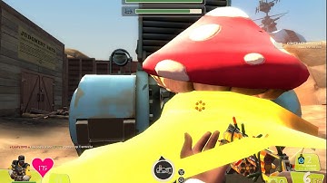 when mvm randomizer stops giving you the bird
