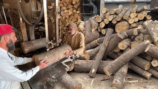 How POPLAR Wood Turned Into Flexible CRICKETING BAT.