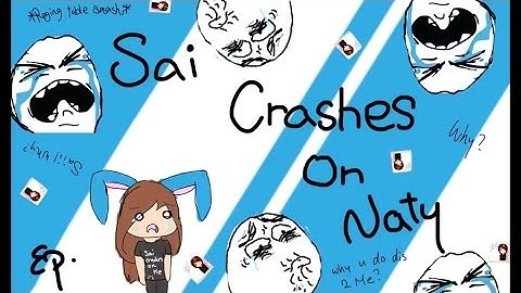 PaintToolSai crashes on Naty pt  1