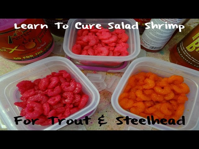 Learn To Cure Salad Shrimp 