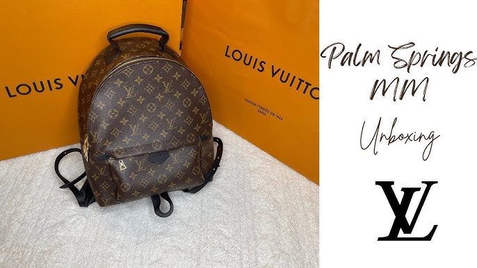 Louis Vuitton Palm Springs Backpack MM, PM and Mini Comparison and WIMB 