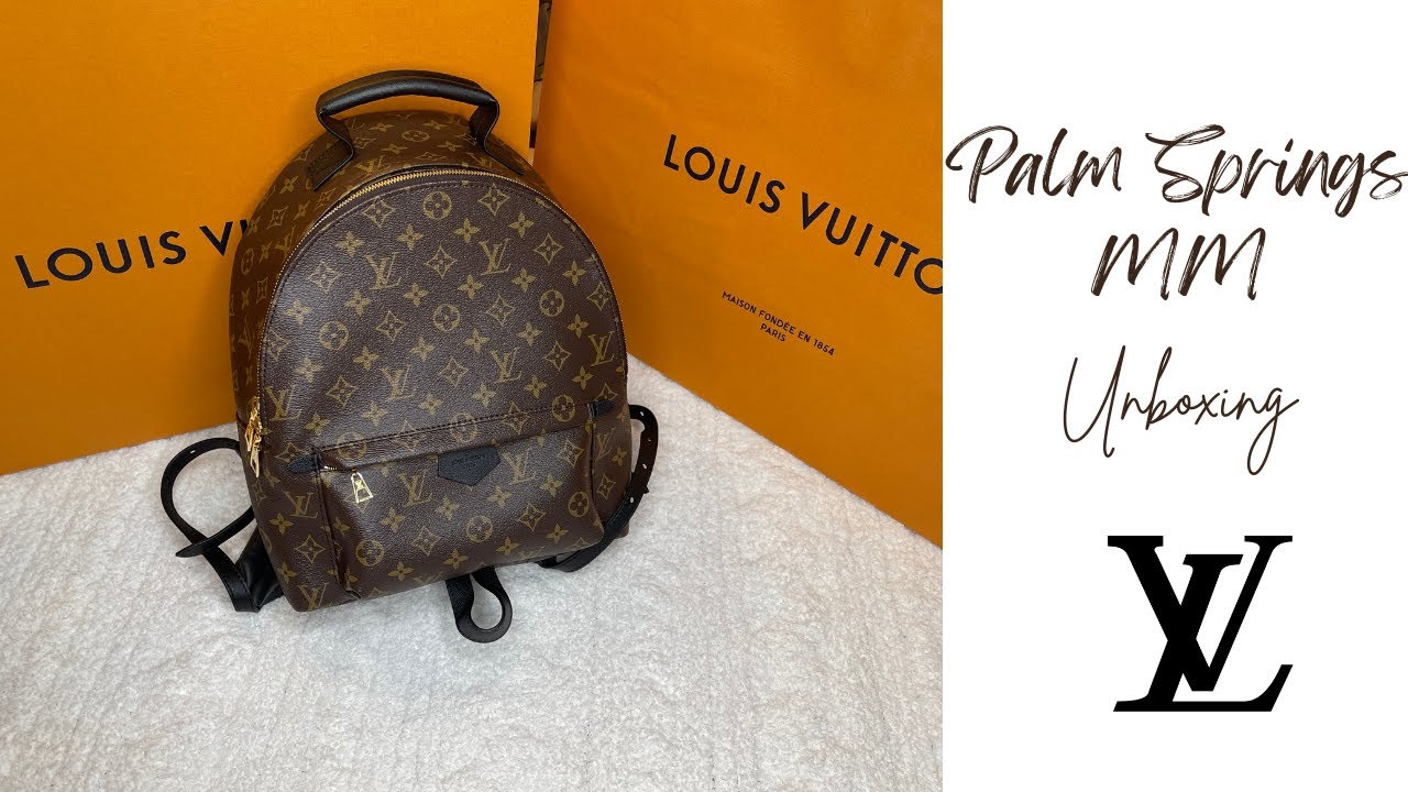 Louis Vuitton Palm Springs MM, What Fits