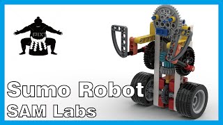 《Sumo Robot相撲機器人》 - LEGO &amp; SAMLabs | Xiao Pang