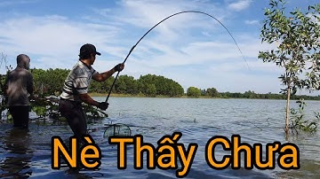 Câu cá ở Việt Nam mà giống như là mình đang câu ở rừng Amazon vậy.Tập 88/ Câu Cá Hoàng Đế