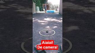 Petanque Trick Shot Gone Wrong