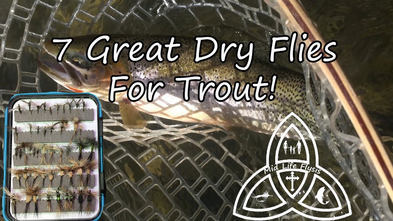 7 Best Dry Flies For Trout 