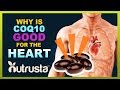 Why Is CoQ10 Good For The Heart?