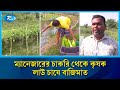 নিচে পানি উপড়ে মাচা, প্রতিদিন বাজারে যাচ্ছে দুইশ লাউ | Bottle Gourd Farming | Rtv News