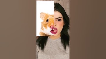 Trying funny tiktok filter🤣animal is your twin filter😂|#shorts #funny #trending #tiktok #freefire