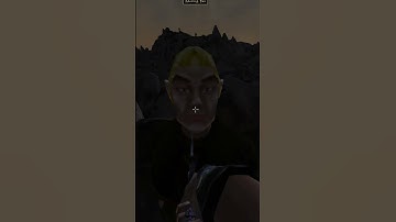 Killing the adoring fan in Morrowind every day until Skywind and Skyblivion are released Day - 164