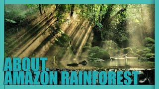 ABOUT. The WORLD'S Biggest Tropical Rainforest