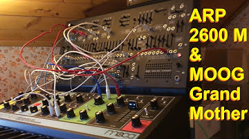 Moog Grandmother & Arp 2600 M - Microtuning Jam [no talk]